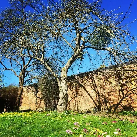 Casa de Férias Luxe Chatododo