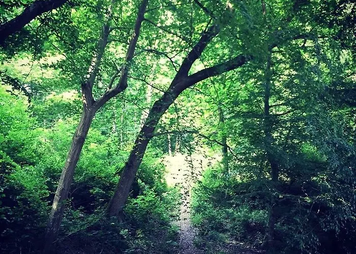 Luxe Chatododo Hébergement de vacances *