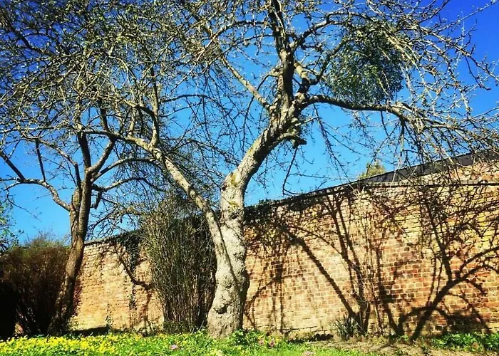 Hébergement de vacances Luxe Chatododo